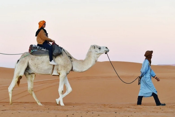 Sa mạc Sahara ở Maroc: cưỡi lạc đà, Trải Nghiệm ngủ đêm trong trại và lưu ý cần biết