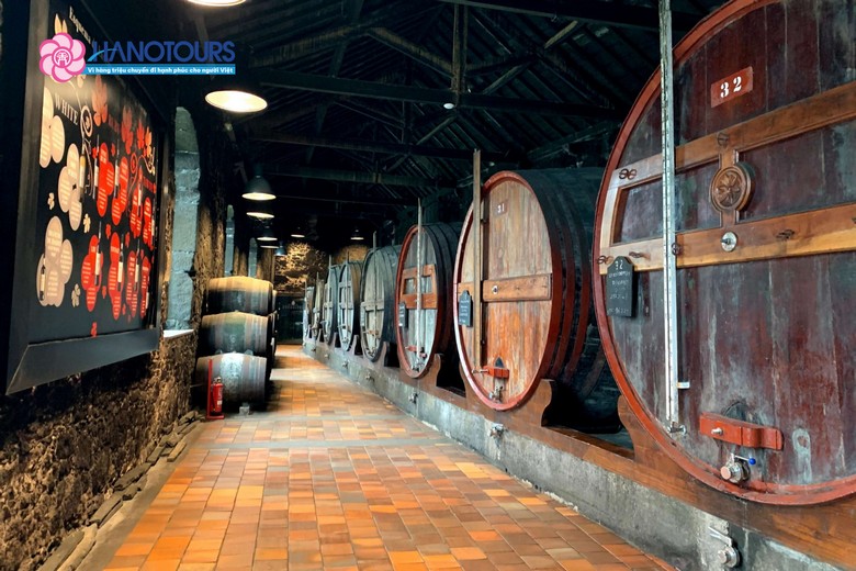 Bên trong một hầm rượu Port ở Vila Nova de Gaia với hàng thùng gỗ sồi