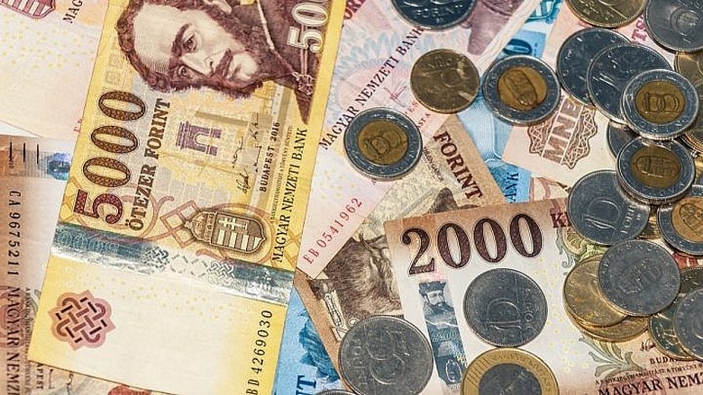 Các loại tiền koruna Séc và forint Hungary bên cạnh euro