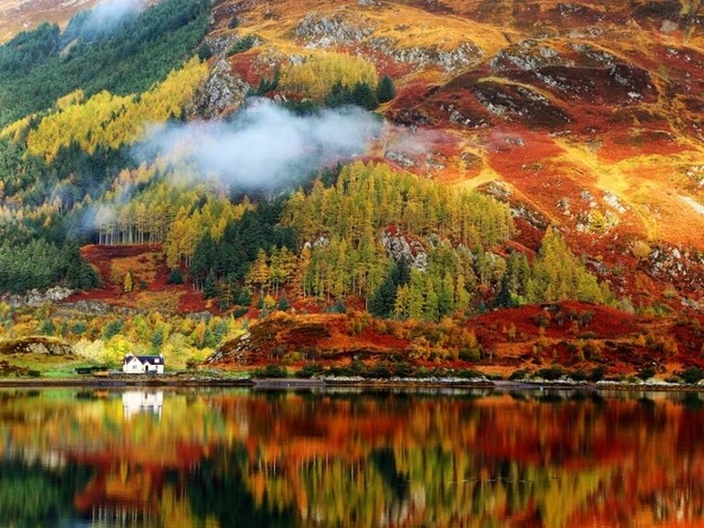 Cảnh thu vàng trên đồi thạch nam vùng cao nguyên Highland