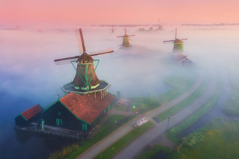 Cối xay gió Zaanse Schans phản chiếu trên mặt nước buổi sáng sớm
