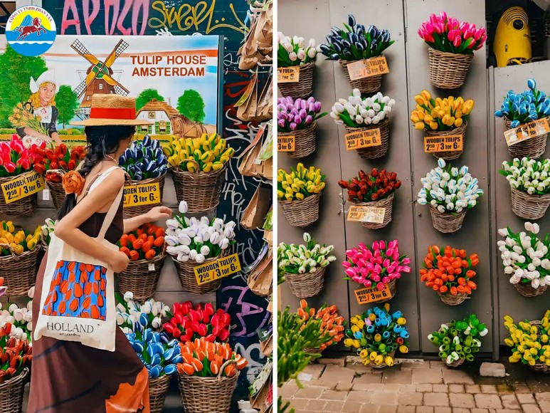 Củ giống hoa tulip đóng gói và phô mai Gouda tại một cửa hàng Hà Lan