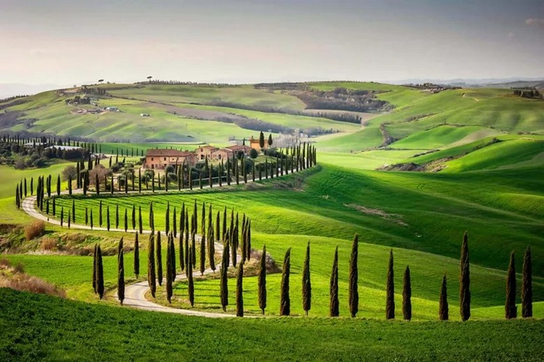 Con đường hàng cây bách nổi tiếng ở thung lũng Val d'Orcia