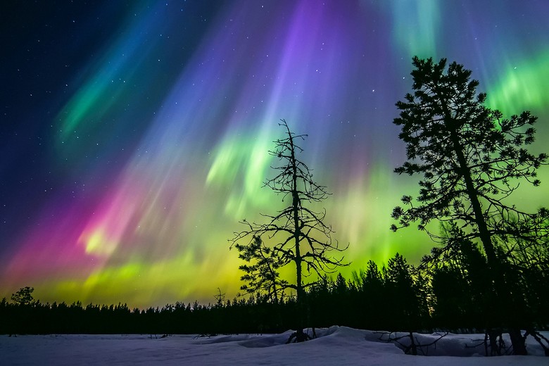 Dải cực quang xanh lá uốn lượn trên bầu trời đêm vùng Lapland tuyết trắng