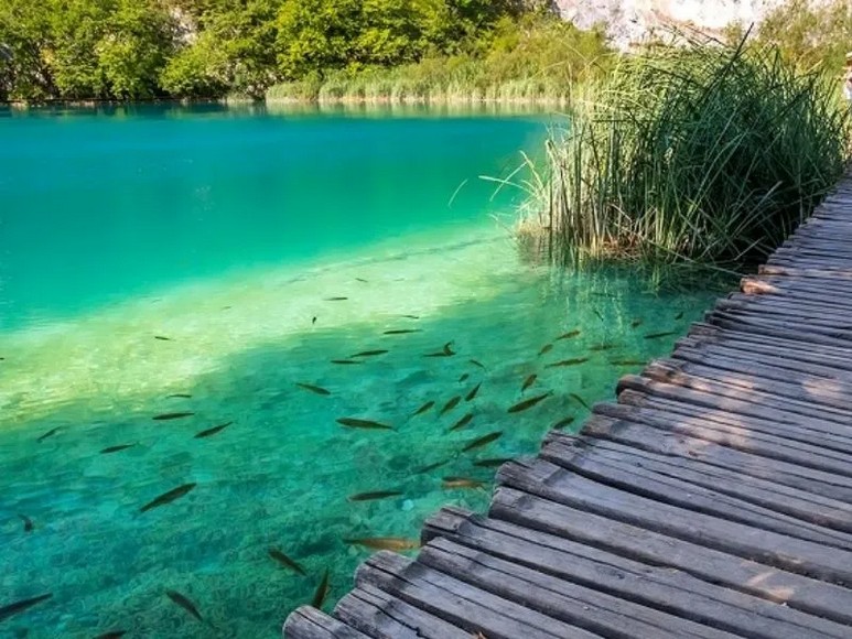 Nước hồ Plitvice đổi màu xanh ngọc dưới ánh nắng xuyên qua tán rừng