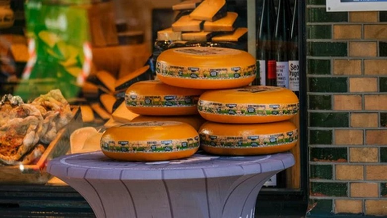 Phô mai Gouda, cá trích sống và bánh Stroopwafel bày cùng nhau trên bàn gỗ kiểu Hà Lan