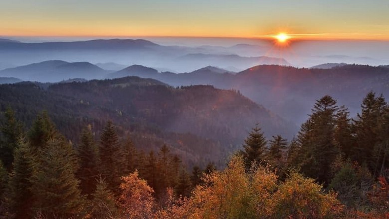 Toàn cảnh rừng thông Schwarzwald phủ kín những ngọn đồi ở Baden-Württemberg