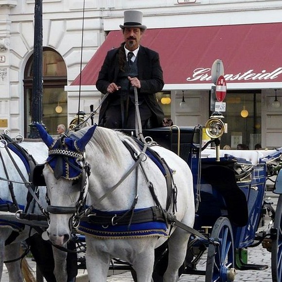  Xe ngựa Fiaker chở khách du lịch qua khu phố cổ Vienna