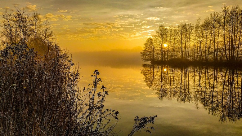 Ánh đèn vàng phản chiếu xuống mặt sông Danube lúc hoàng hôn