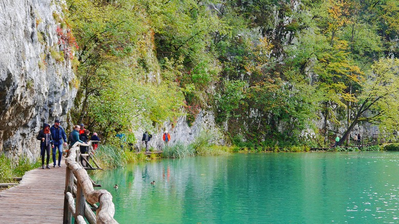 Đoàn khách đi bộ trên đường ván gỗ giữa rừng cây tại Hồ Plitvice