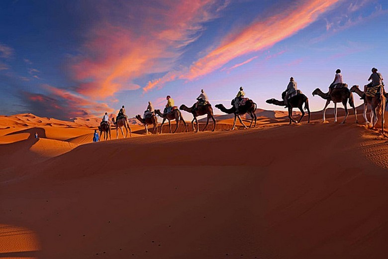 Đoàn lạc đà đi trên cồn cát Erg Chebbi lúc hoàng hôn